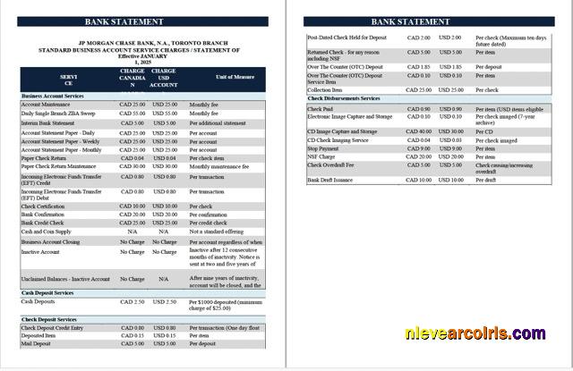 USA JPMorgan Chase Bank statement Word and PDF, 2 pages